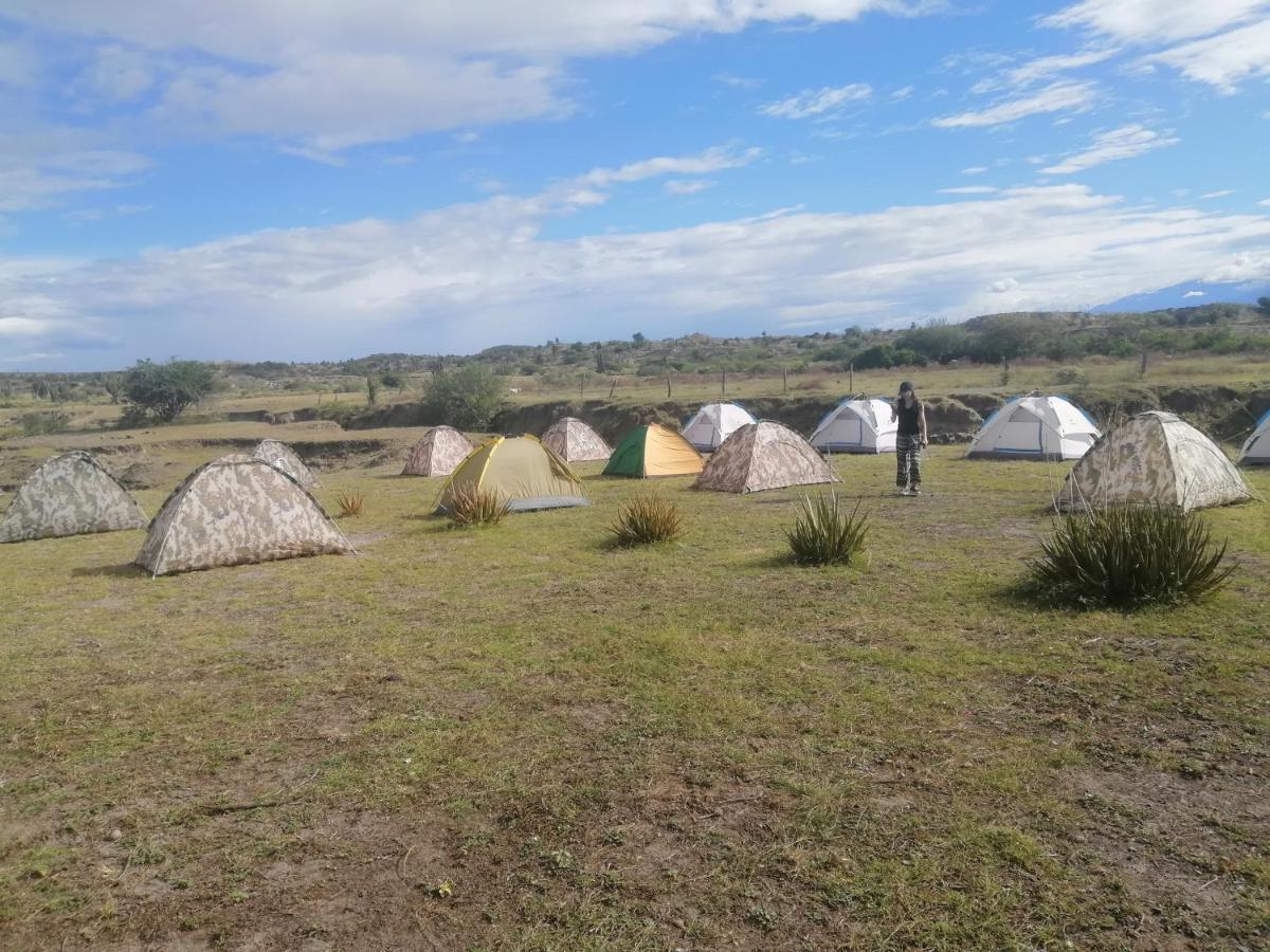 Pachingo la primavera Villavieja Exterior foto