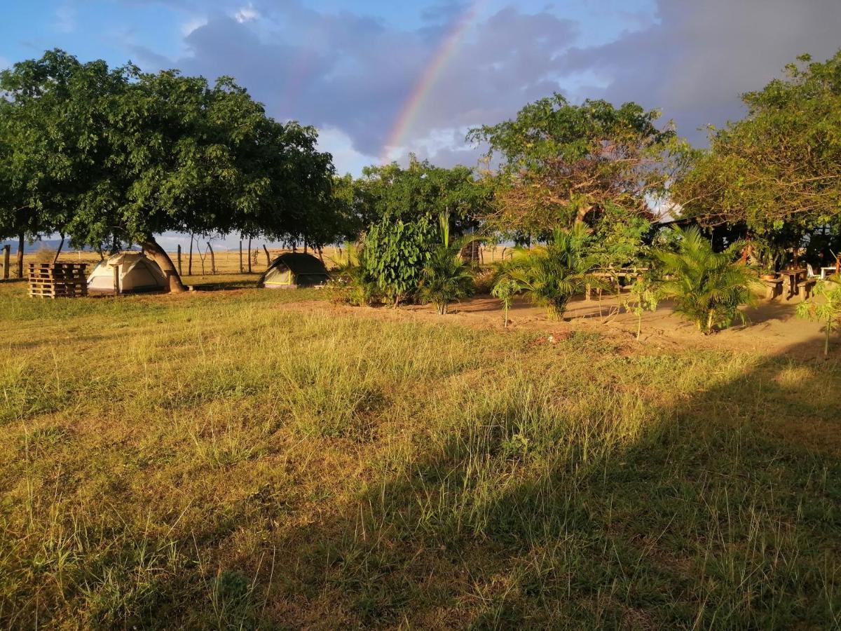 Pachingo la primavera Villavieja Exterior foto