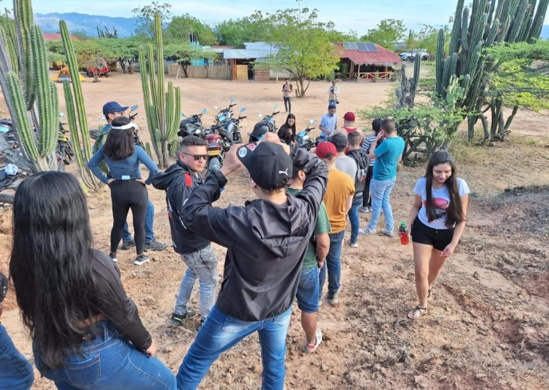 Pachingo la primavera Villavieja Exterior foto